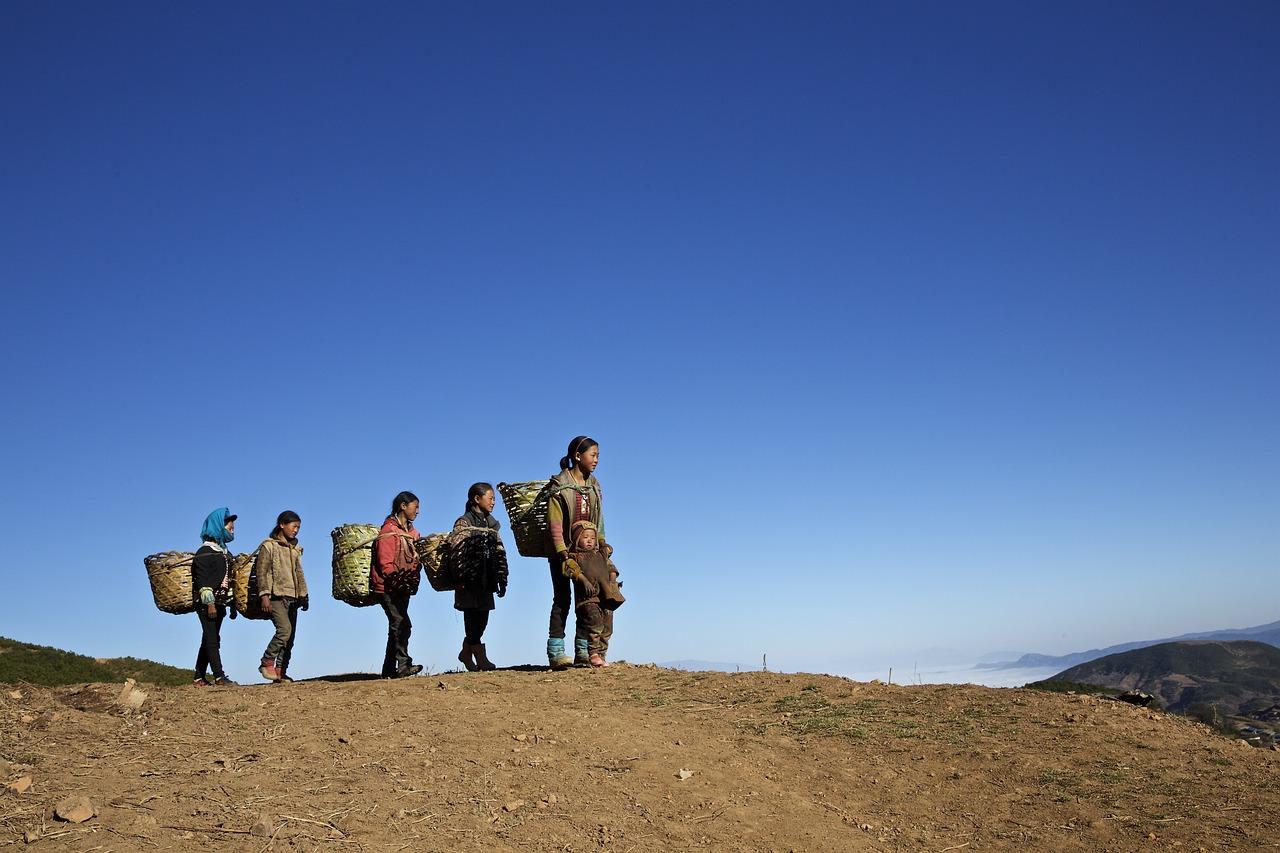 Travel & Accommodation